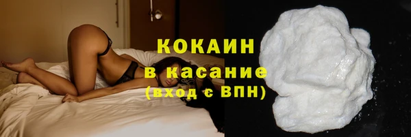 молекула духа Арсеньев