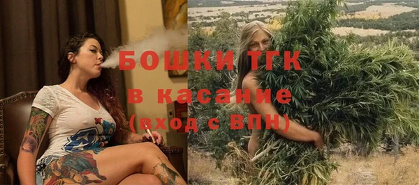 молекула духа Арсеньев
