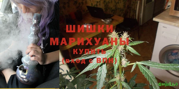 стафф Армянск
