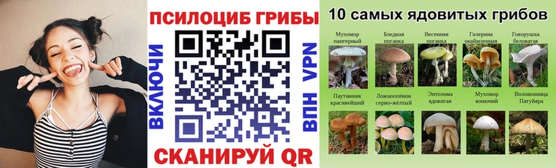 Псилоцибиновые грибы ЛСД  Собинка 
